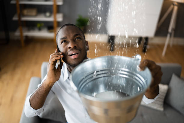 Best Water damage contractors near me  in Rk Forest Village, PA