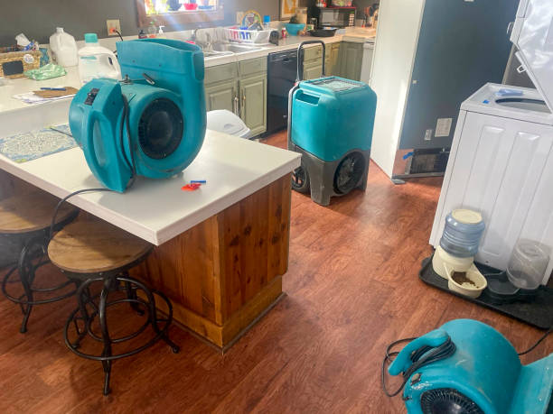Best Water damage restoration specialists  in Rk Forest Village, PA