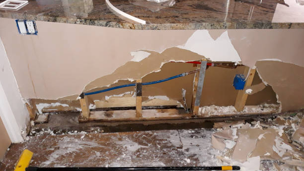 Best Mold removal after water damage  in Rk Forest Village, PA