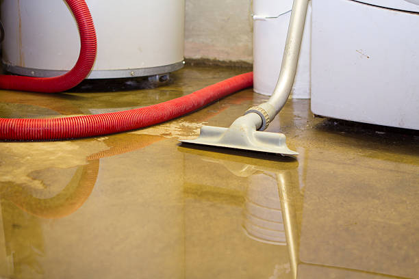 Best Fire Damage Restoration  in Rk Forest Village, PA